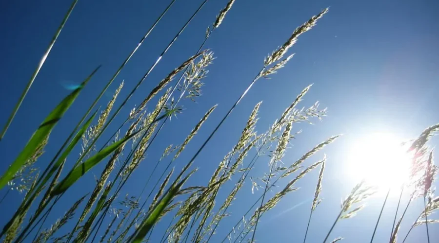 Heat Warning In Place