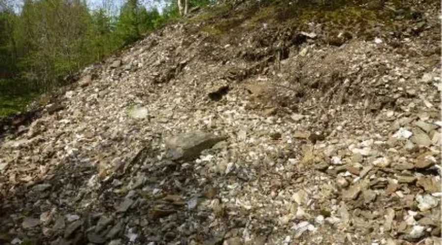 Nuinsco Announces Drill Program