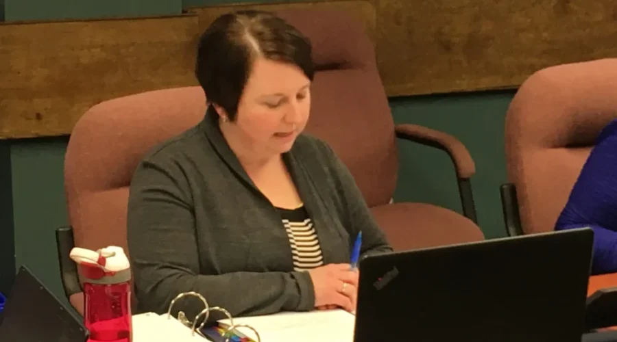 Town budget explained