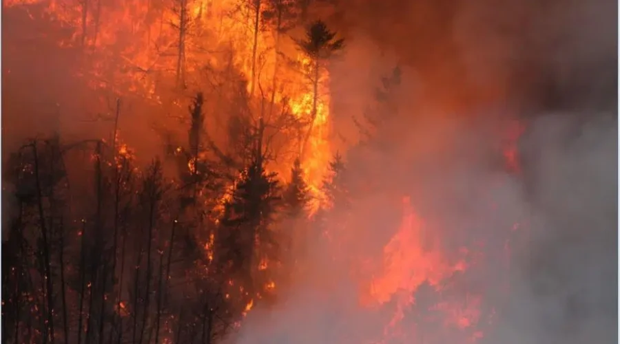 Climate Change Now Part Of Forest Fire Fighting Plans