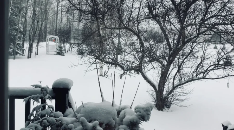 Thought spring was just around the corner until…