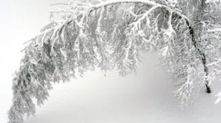 Significant Snow Possible