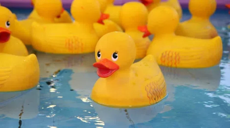 Rubber Duck Race Set For Saturday