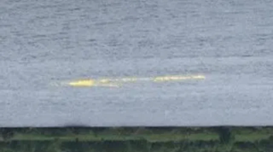 Rubber Duck Pays Off A Thousand