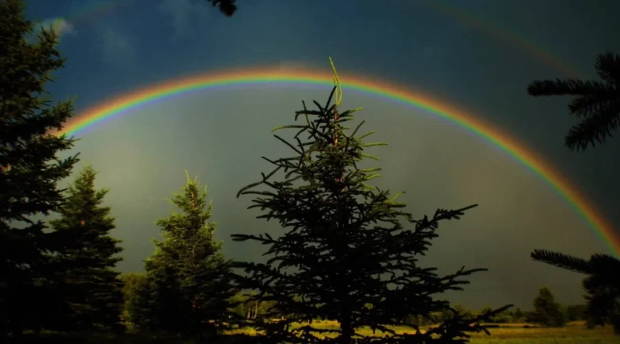 A fitting symbol for Pride Week