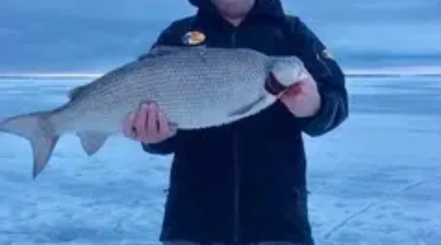 New Fishing Record In Minnesota