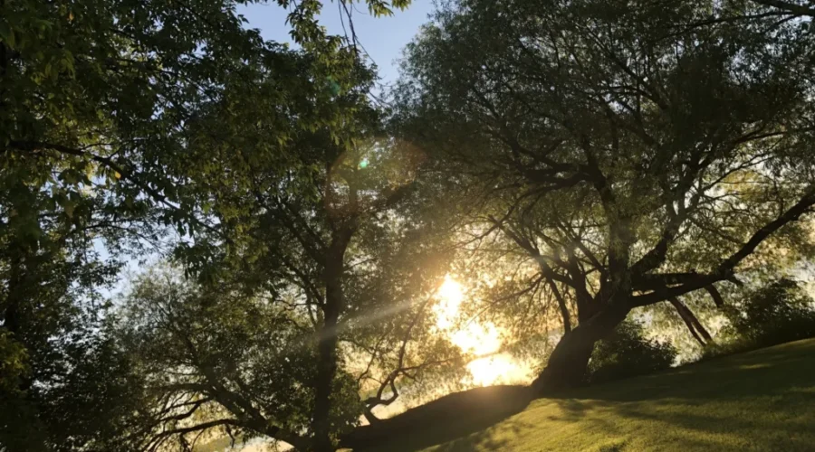 Early morning sun rising above Sand Bay at Our Lady of Lourdes church last Friday