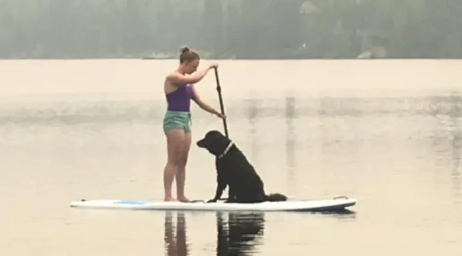 Throwback to a smokey scene earlier this week