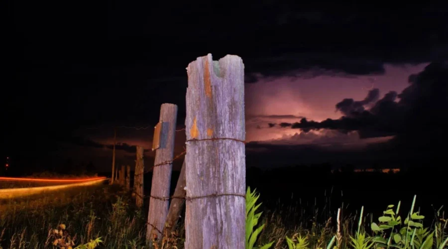 Fenceposts at night
