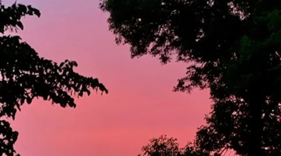 Sunset colours for summer!