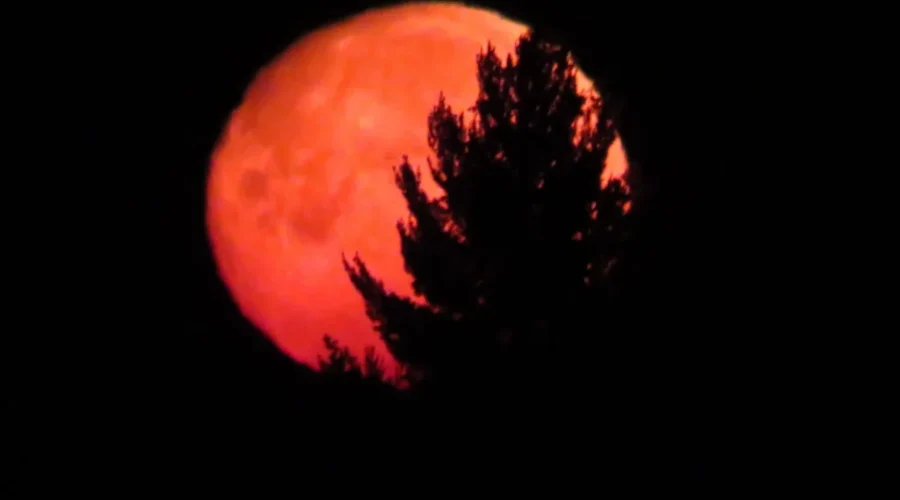 Moon over Miller Bay
