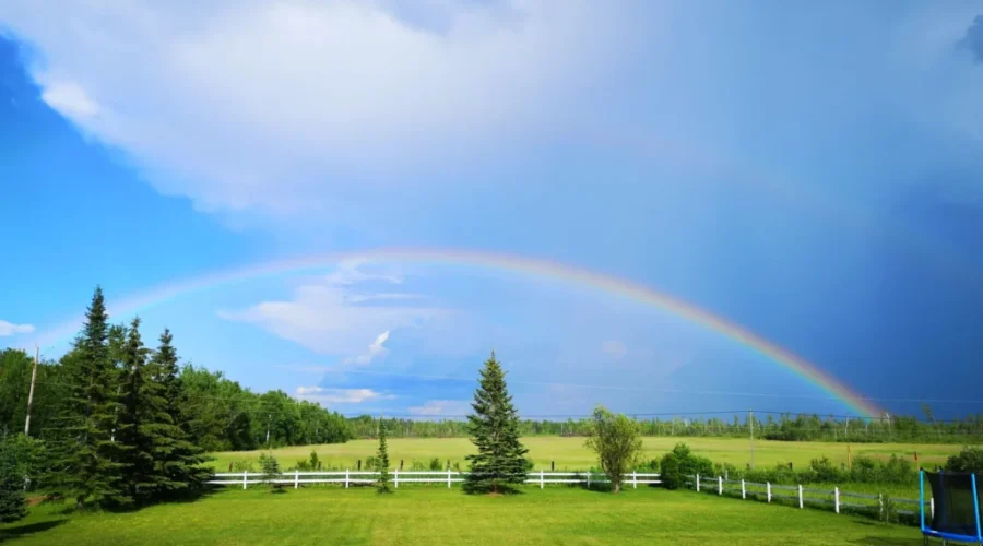 Where’s the pot of gold?