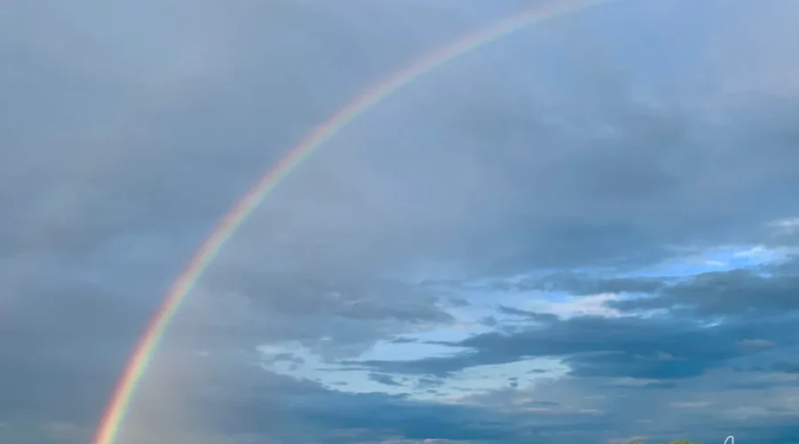 One good thing about rain…