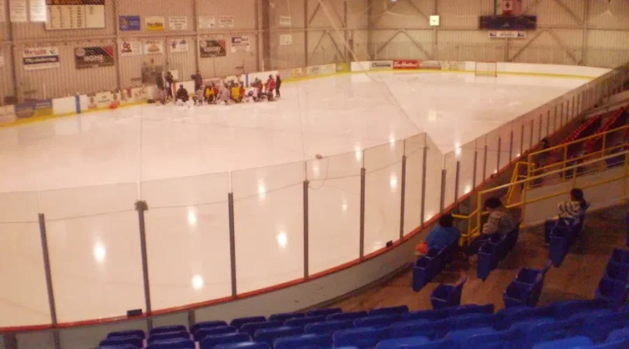 One Plant Possible to Run Memorial Sports Centre: Report