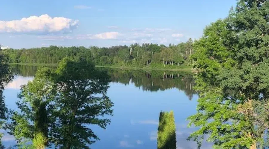 Rainy River looking like a mirror