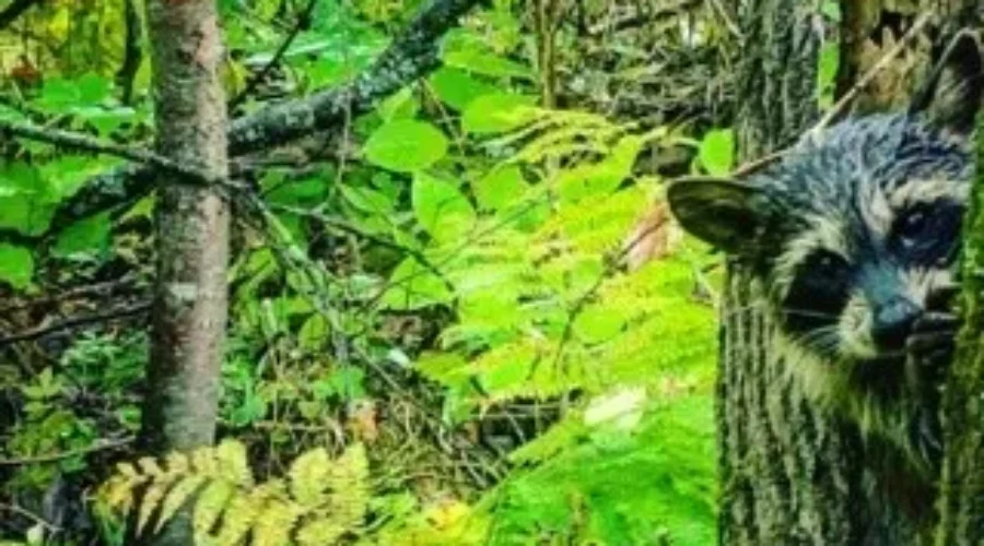 Meeting a new friend while out hunting.