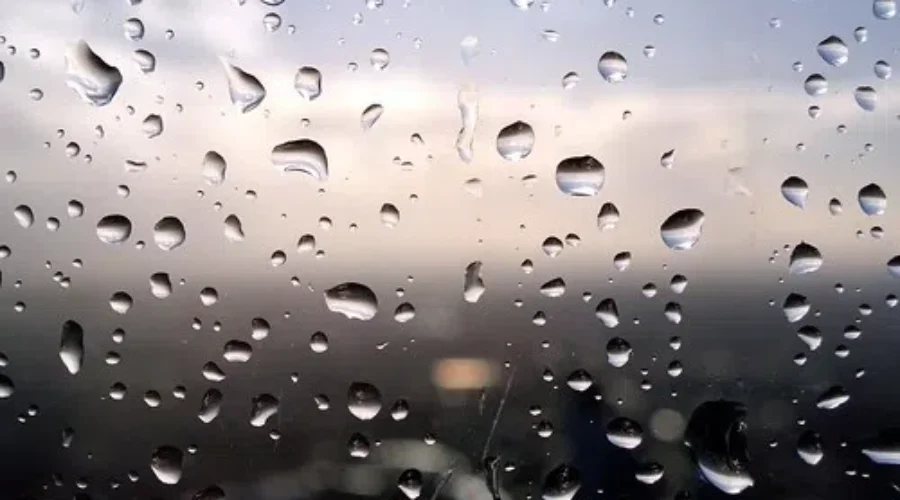 More Rain Today, Snow Likely Tomorrow