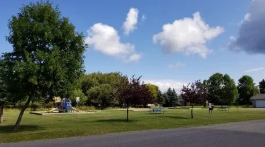 Town To Plant New Trees Next Year