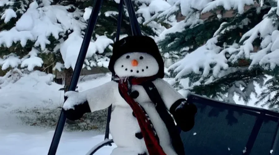 Frosty fitting right into the scenery