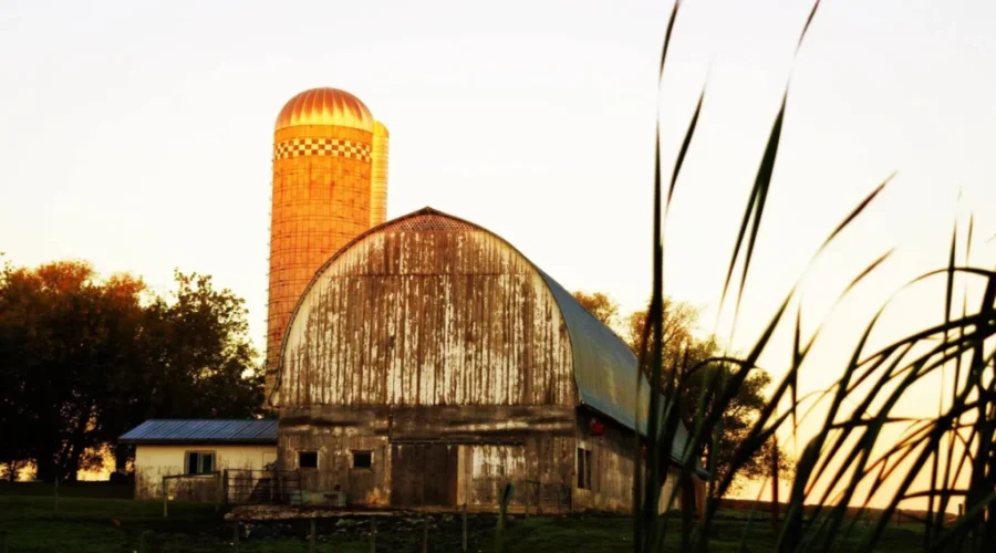 Old buildings and new life