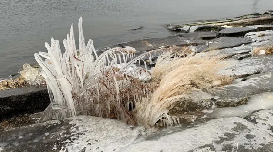 Just because it’s cold doesn’t mean it can’t be beautiful!