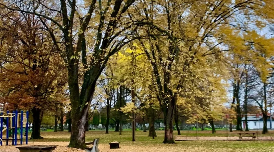 A reminder of nature without snow!