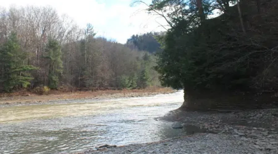 Reviewing State Waters