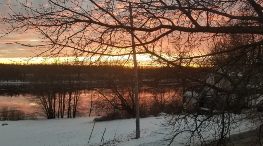 Sunset through the trees