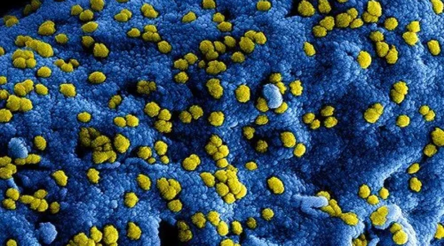 Low Risk Of Coronavirus Outbreak: Officials