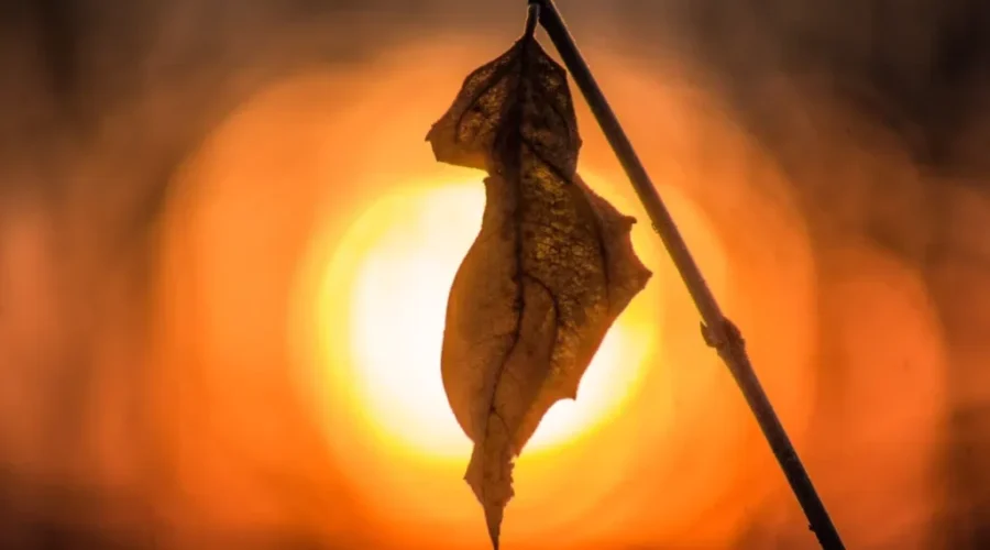 8th Street walking trails just after sunrise