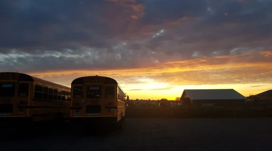 Orange morning with buses