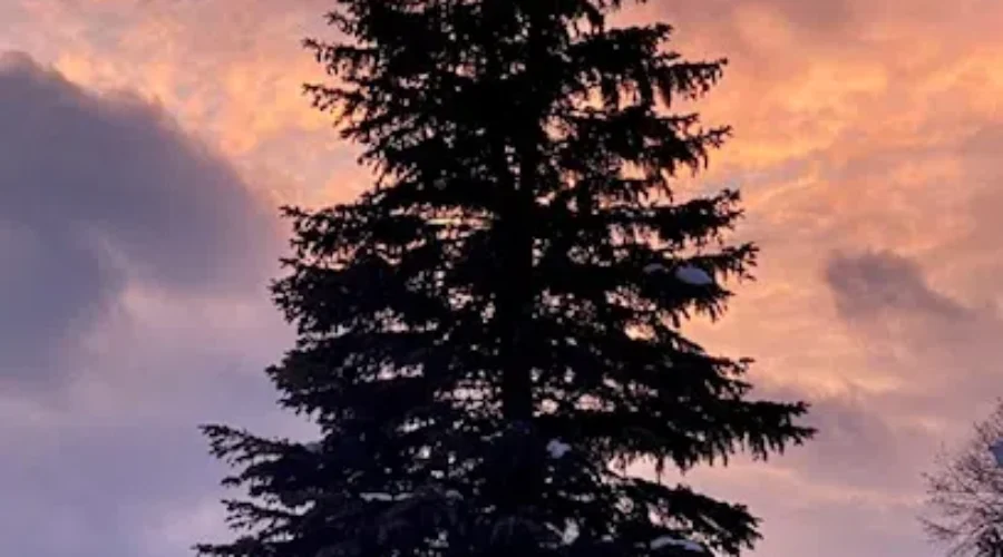 Pastel skies in Fort Frances