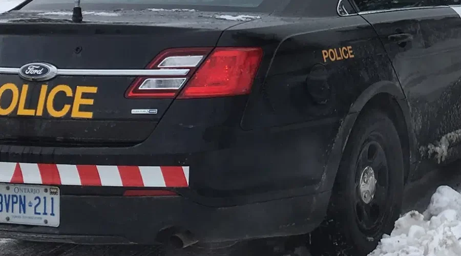 Crime Stats Remaining Below 2019