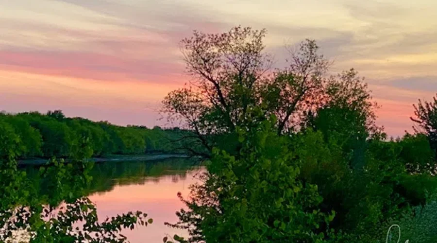 A lovely sunset over all the green