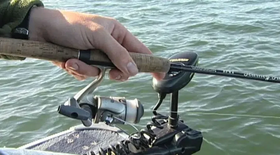 A Few Anglers Caught Breaking The Rules