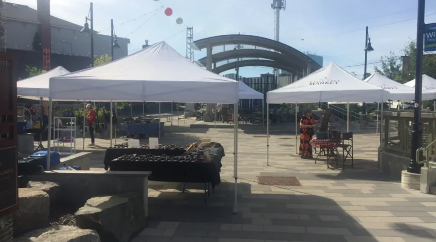 Successful Year For Rainy Lake Square