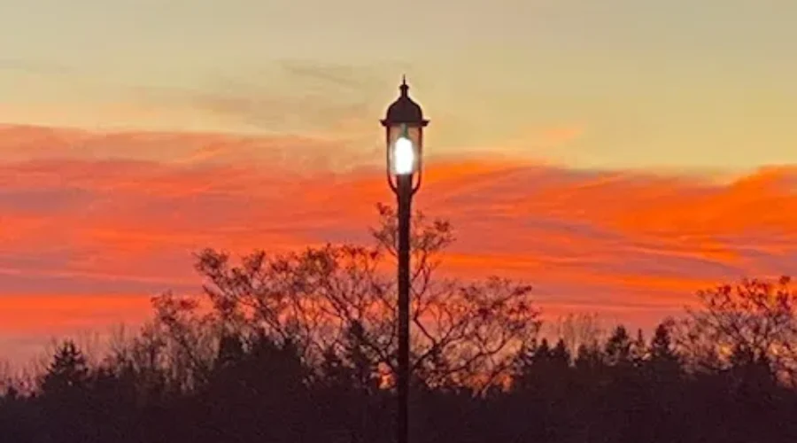 Street Lights Along The Water Front