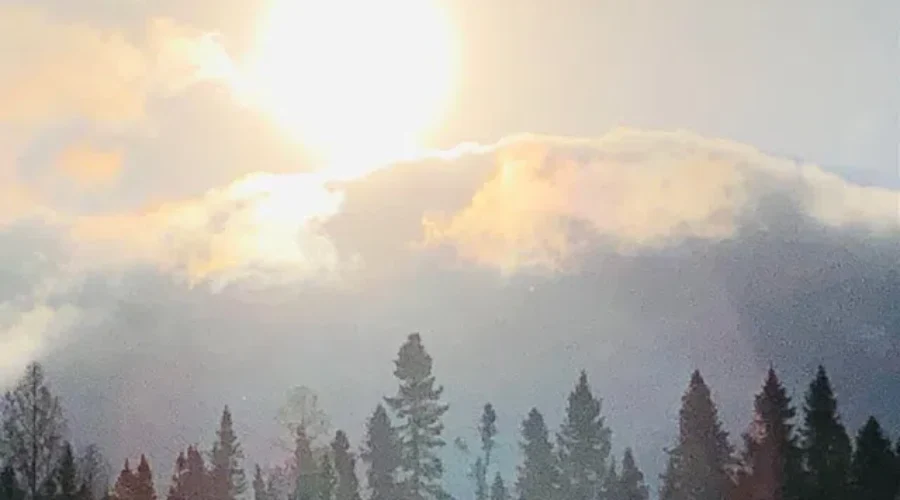 Deep In The Woods Of Smokey Bear Forest