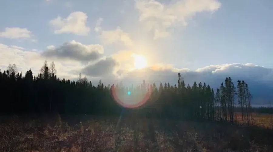 Mystery Of The Wilderness