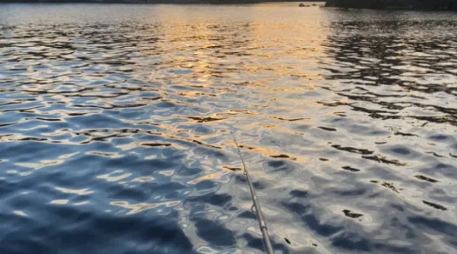 Fishing On The Water