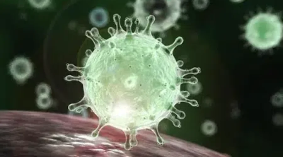 Thunder Bay Adds 10 Cases, 2,300+ Province-Wide