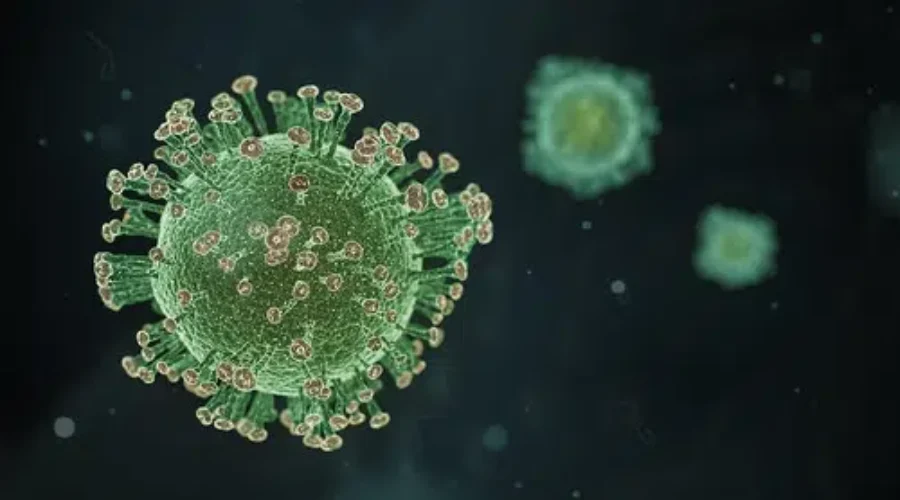 Local Health Units Remain In Current COVID-19 Stages