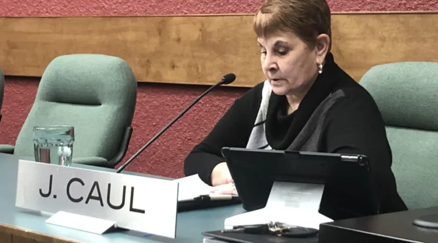 Pandemic Dominates Council’s Agenda