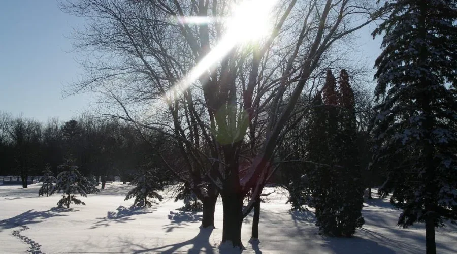 Warm November For Borderland