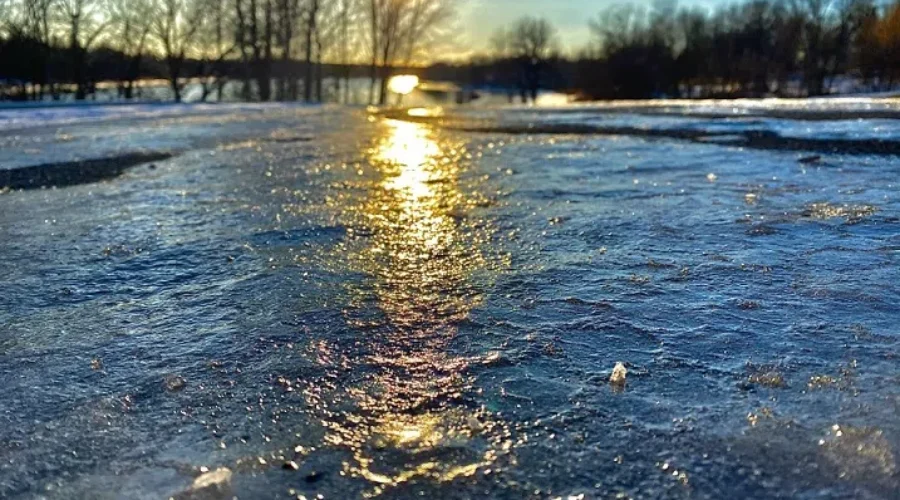 Beauty In The Eye Of The Photographer