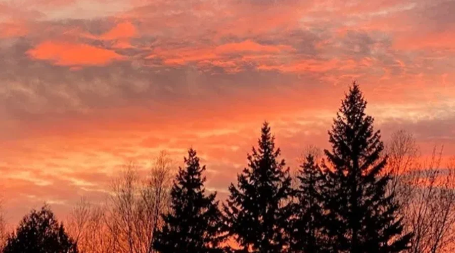 Beautiful Fall Sunset