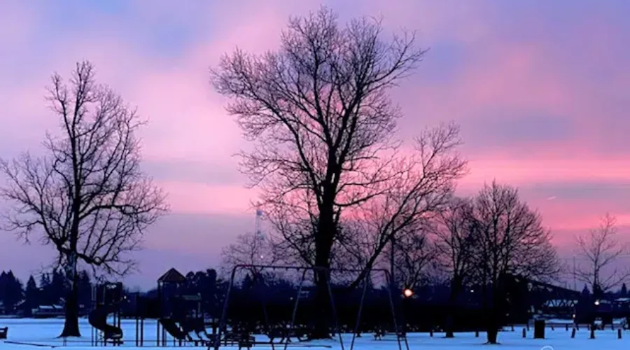 A Park Covered In Snow