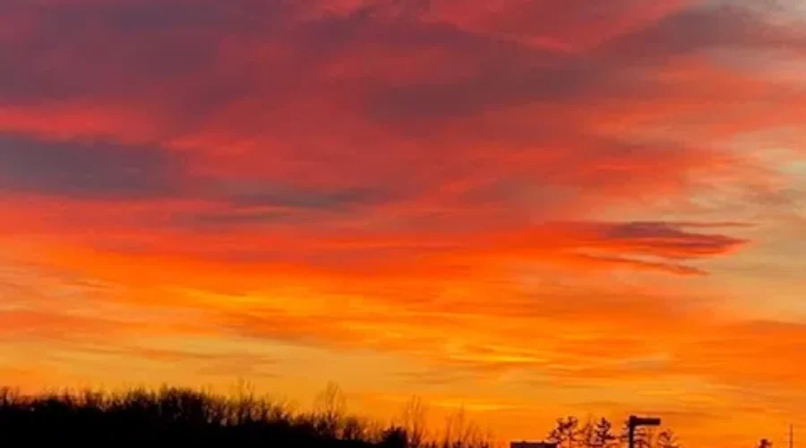 Waterfront In Winter