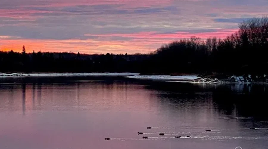 Winter Life Along The Water