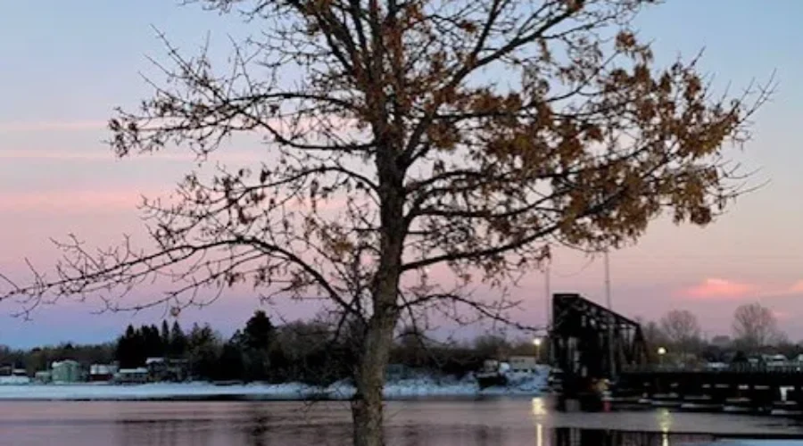 Hope That Spring Is Coming Soon